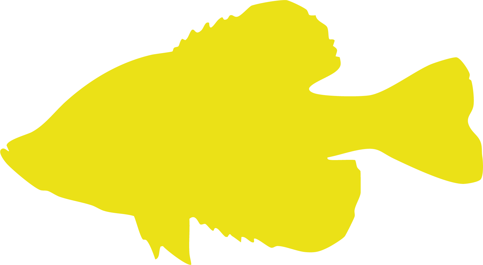 A fishing guide holding up a crappie fish.